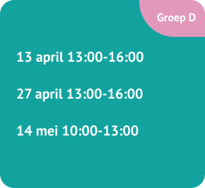 Groep D intercollegiale toetsing