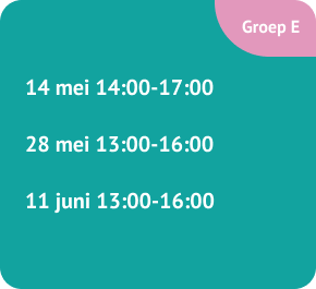 Groep E intercollegiale toetsing